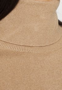 Beige Rollkragenpullover aus weichem Strickmaterial. Mit einem gerippten Kragen und glattem Textur in taillierter Form.