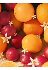 Oranges, citrons et prunes rouges éparpillés avec de petites fleurs d'agrumes blanches sur une surface beige texturée, sous une lumière naturelle chaude.
