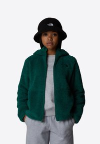 The North Face CAMPSHIRE - Forro polar - evergreen