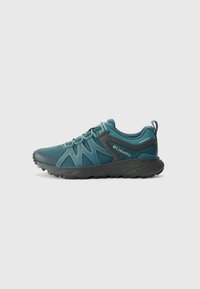PEAKFREAK ROAM - Turistické topánky - everblue/dark grey