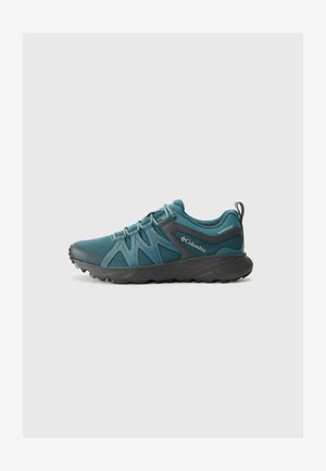 Columbia PEAKFREAK ROAM - Pohodniški čevlji - everblue/dark grey