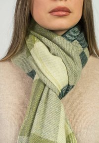 Dalle Piane Cashmere CHECKED - Sjal / Tørklæder - verde