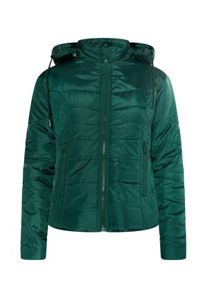 Gevoerde groene jas met een ritssluiting aan de voorkant, verstelbare capuchon en ritszakken aan de zijkanten. Heeft een gladde, glanzende textuur en een gewatteerd ontwerp.