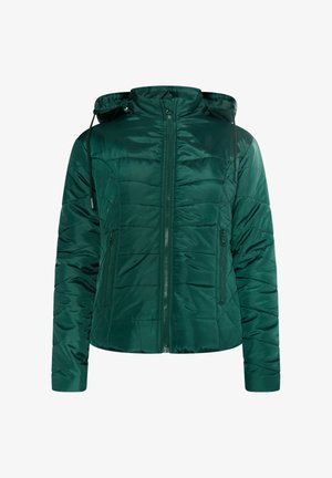 Gevoerde groene jas met een ritssluiting aan de voorkant, verstelbare capuchon en ritszakken aan de zijkanten. Heeft een gladde, glanzende textuur en een gewatteerd ontwerp.