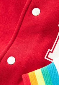 Little Bird REGULAR FIT - Bomberjacka - red