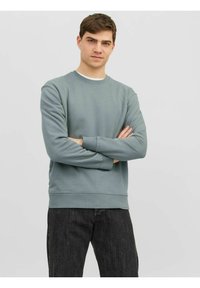 Jack & Jones JJESTAR CREW NECK - Mikina - sedona sage