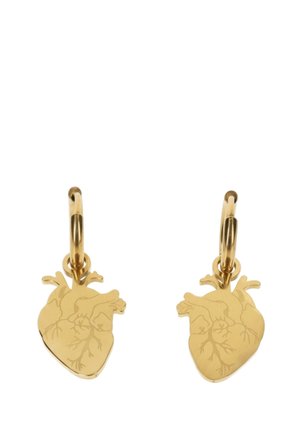 CUORE ANATOMICO - Pendientes - oro