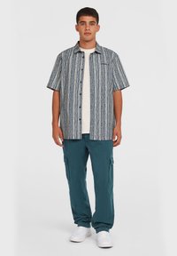 Kortærmet skjorte med knapper i blå og hvide mønstrede striber, parret med teal cargo bukser og hvide sneakers. Casual, afslappet pasform.