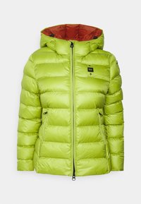 Lys grøn quilted pufferjakke med hætte, frontlynlås, lynlås-lommer på siden og lille brystlogo på hvid baggrund.