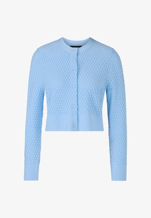 Light blue, textured cardigan with a round neckline, long sleeves, and button closure. Features a cropped design and ribbed accents at the hem.