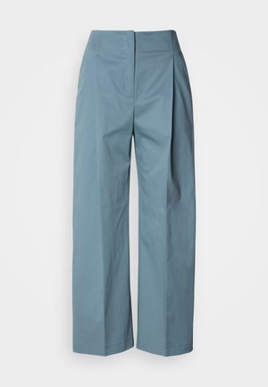 Pantalon large bleu clair en coton. Présente une taille haute, des plis à l'avant et des coutures nettes. Texture lisse sans embellissements visibles.
