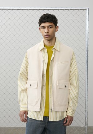 Liemenė - turtledove