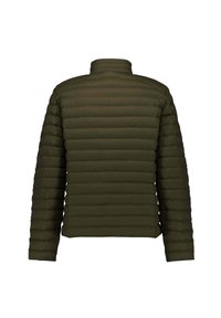 Chaqueta acolchada de color verde oscuro con costuras horizontales, mangas largas y un cuello alto, mostrada desde atrás sobre un fondo blanco.