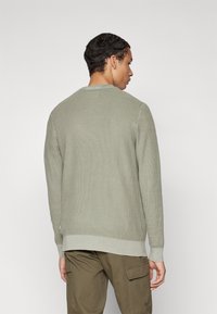 Helles grünes, strukturiertes Sweatshirt mit Rundhalsausschnitt. Gerippte Manschetten und Saum, geschichtete Designelemente am Rücken. Trägt eine Cargo-Hose.