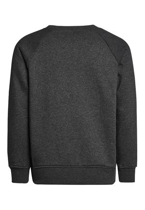 Tumši pelēks krekls ar gludu tekstūru, ar apaļu kakla izgriezumu un ribinātām piedurknēm. Iekļauj raglāna piedurknes un vienkrāsains, bez redzamām rakstu.