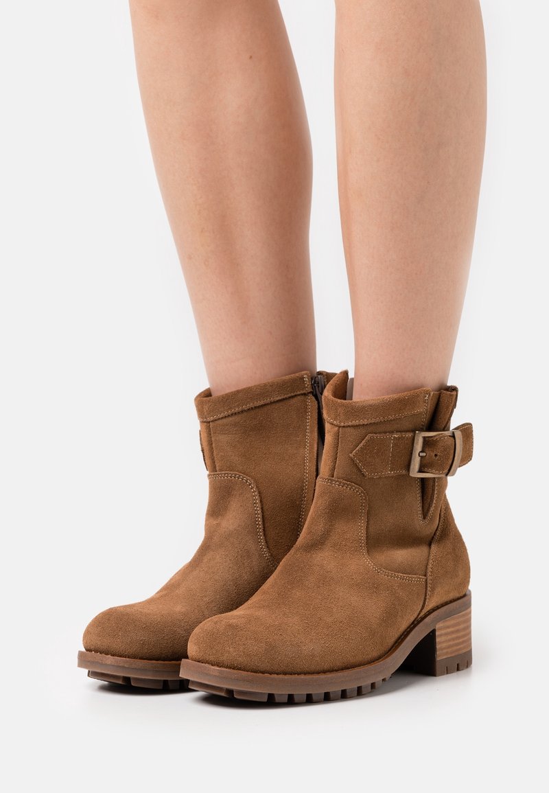 Botines de ante marrón con tacón grueso, con cremallera lateral y un detalle de hebilla ajustable en el tobillo. Superficie texturizada y suela resistente.