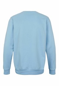 Ljusblå sweatshirt med rund halsringning, långa ärmar och ribbade mudd och nederkant. Slät textur utan synliga mönster eller detaljer.