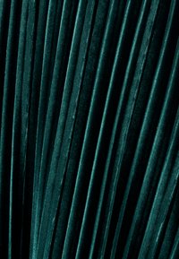 Tiefgrüner Samtstoff mit vertikalen Falten, der eine glatte Textur und einen subtilen Glanz zeigt. Die Falten schaffen ein rhythmisches Muster über die Oberfläche.