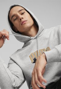Puma TEAM - Felpa con cappuccio - light gray heather