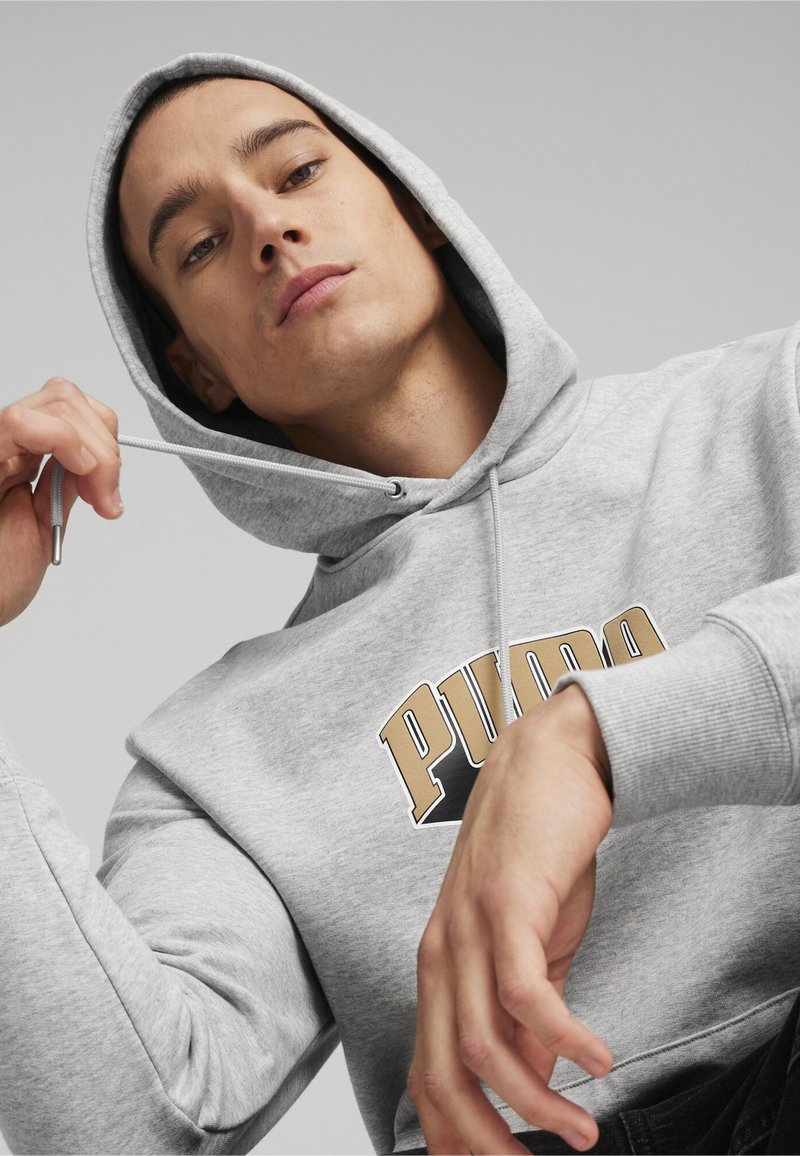 Puma TEAM - Felpa con cappuccio - light gray heather