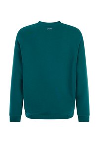Teal sweatshirt met een ronde hals en lange mouwen. Gemaakt van een gladde stof, het heeft ribgebreide manchetten en een klein logo op de achterkant.