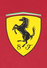 Czerwona koszulka z żółtą tarczą, na której znajduje się czarny, skaczący koń oraz inicjały "SF"; zielone i białe paski na górze.