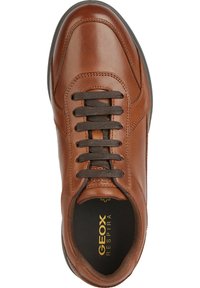 Sneaker in pelle marrone con finitura liscia, punta rotonda, lacci marroni e suola in gomma. Presenta un logo all'interno della scarpa.