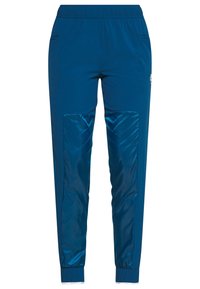 Blaue Sporthosen aus einem Mischgewebe mit glänzenden Seitenpaneelen, elastischem Bund und Knöchelabschlüssen. Mit seitlichen Taschen.
