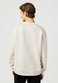 Felpa grigia chiara con maniche lunghe, collo rotondo, texture morbida, polsini e orlo a coste, e vestibilità rilassata. Dettagli di cucitura visibili.