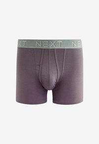 Next A FRONTS 10 PACK - Boxer alsónadrág - blue grey pink