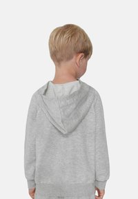 Šedá mikina vyrobená z měkké látky, s kapucí, žebrovanými manžetami a lemem, pohled zezadu. Jednoduchý design bez viditelných vzorů.