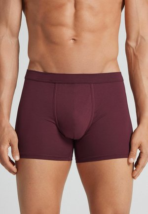 Männlicher Torso mit dunkelroten, eng anliegenden Boxershorts, stehend mit entspannten Armen an den Seiten vor einem einfarbigen hellen Hintergrund.