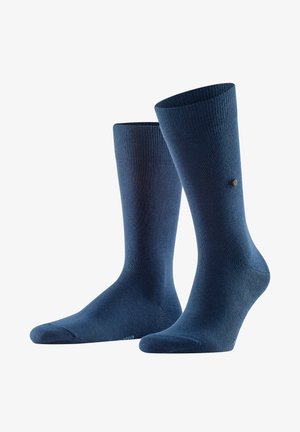 Burlington, Lord - Chaussettes - marine