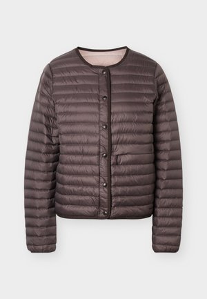 Patagonia, REVERSIBLE - Μπουφάν με πούπουλα - den brown