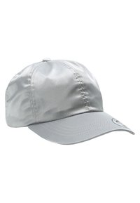 LOW PROFILE  - Pet - silver