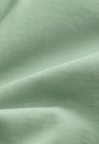 HEAVYWEIGHT - REGULAR FIT - Camiseta básica - green sage