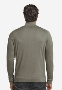 Ljusgrön, långärmad puverltröja med hög krage, ribbade ärmslut och en mjuk textur, visad bakifrån.