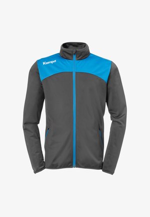 Gray athletic jacket with blue accents, zip closure, high collar, and long sleeves. Made of smooth, lightweight material.