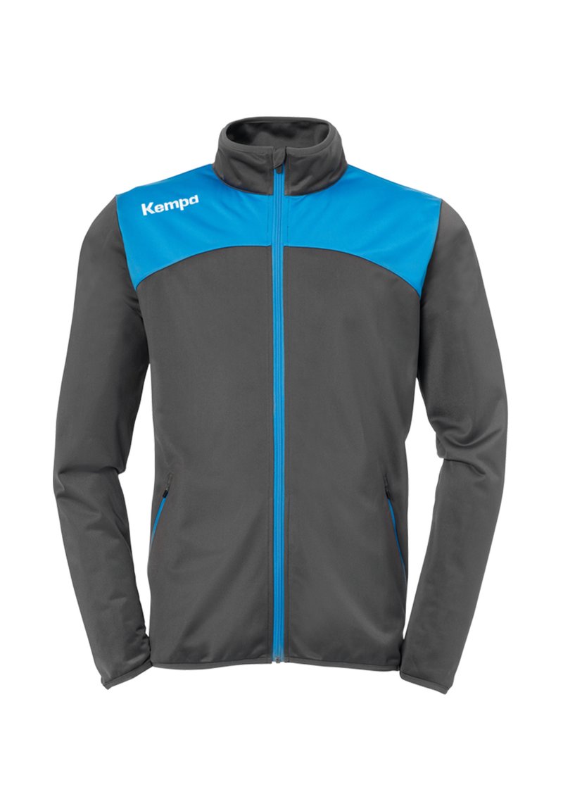 Grijze sportjacket met blauwe accenten, ritssluiting, hoge kraag en lange mouwen. Gemaakt van glad, lichtgewicht materiaal.