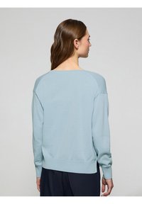Maglione azzurro chiaro realizzato in un tessuto morbido, con una vestibilità rilassata, polsini e orlo a coste, e maniche a raglan, mostrato da dietro.