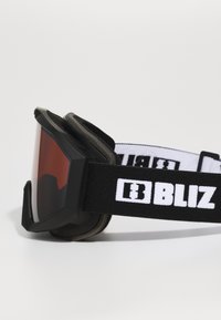 BLIZ LINER UNISEX - Suusaprillid - braun
