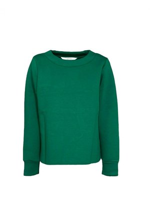 Long-sleeve green crewneck sweatshirt with ribbed cuffs and a slightly loose fit shown against a white background.