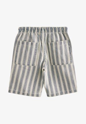 Shorts a righe con vita elastica, caratterizzati da strisce verticali blu e bianche e due grandi tasche posteriori. Il tessuto appare strutturato.
