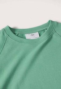 Felpa verde menta con scollo rotondo e maniche raglan, realizzata in morbido tessuto di cotone. Presenta un'etichetta con il nome del marchio visibile all'interno.