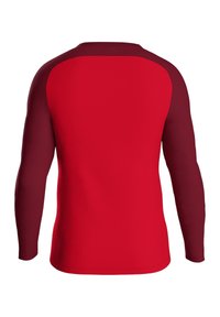Rode longsleeve shirt met bordeaux raglan mouwen. Glad, rekbaar materiaal. Ronde halslijn en rechte zoom. Geen zichtbare patronen of accenten.