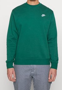 Grön sweatshirt med rundad hals och långa ärmar. Har en liten vit Nike-logga på bröstet. Tyget verkar mjukt och strukturerat.