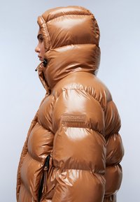 Napapijri GLANE - Winterjas - brown tobaco