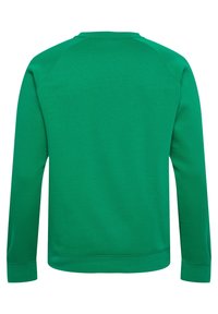 Sweatshirt verde con collo a giro e maniche lunghe a raglan. Il tessuto è liscio con orlo e polsini a coste, privo di loghi o motivi visibili.
