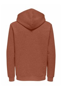 Effen roestkleurige hoodie met lange mouwen, geribbelde manchetten en zoom, gezien van de achterkant met de capuchon omhoog.