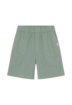 Groen gestreepte shorts met een elastische tailleband, voorzien van twee voorzakken en een klein stoffen label aan de zijkant. Lichtgewicht materiaal.